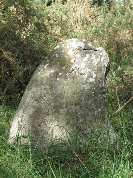 Menhirs de Kergo/Parc Bras